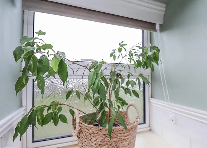 Ingleside Holiday home *